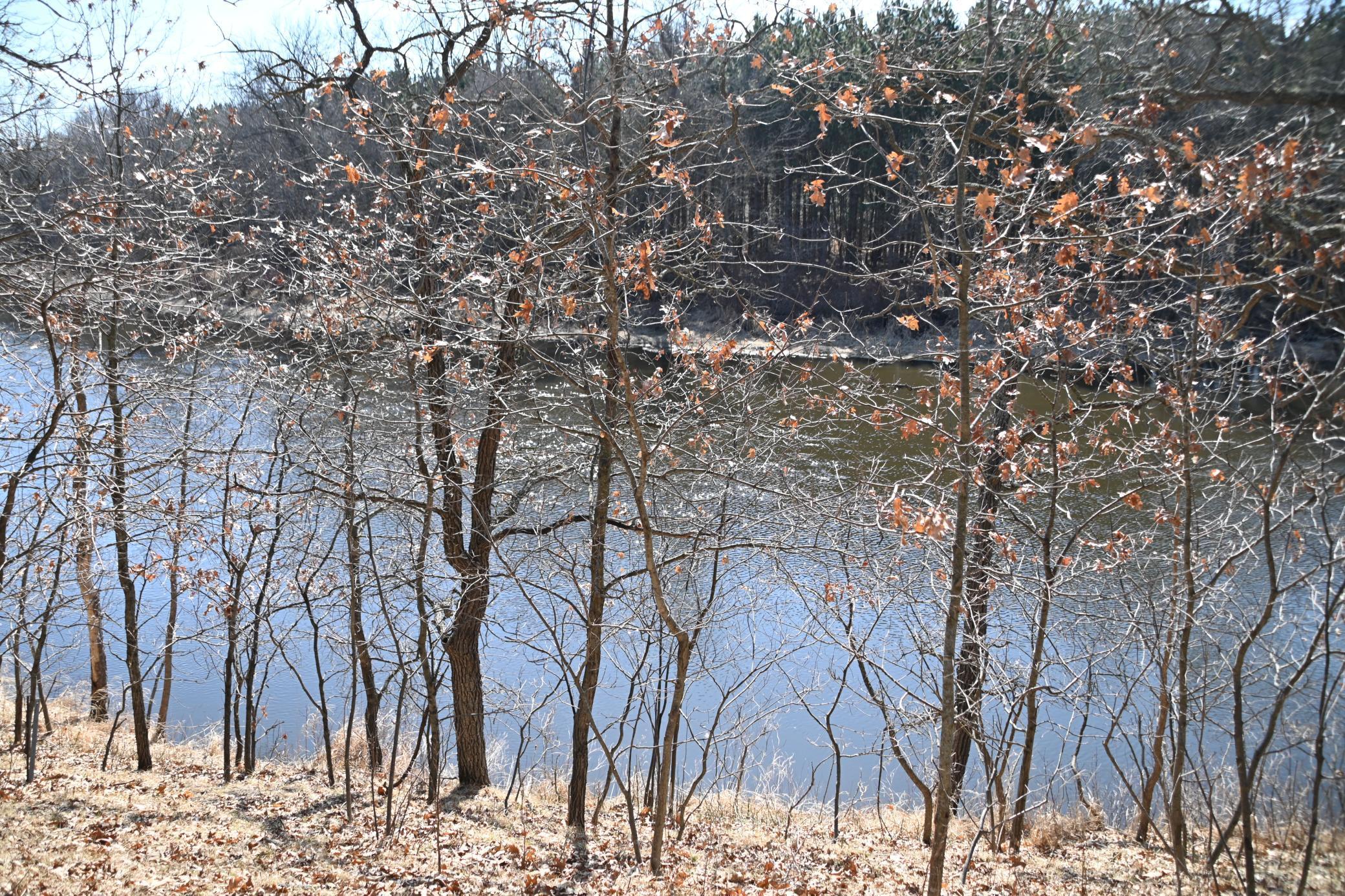 38869 Odin Court Browerville, MN 56438 - Photo 3 of 24