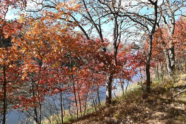 $37,500 | 38869 Odin Court, Browerville, MN 56438