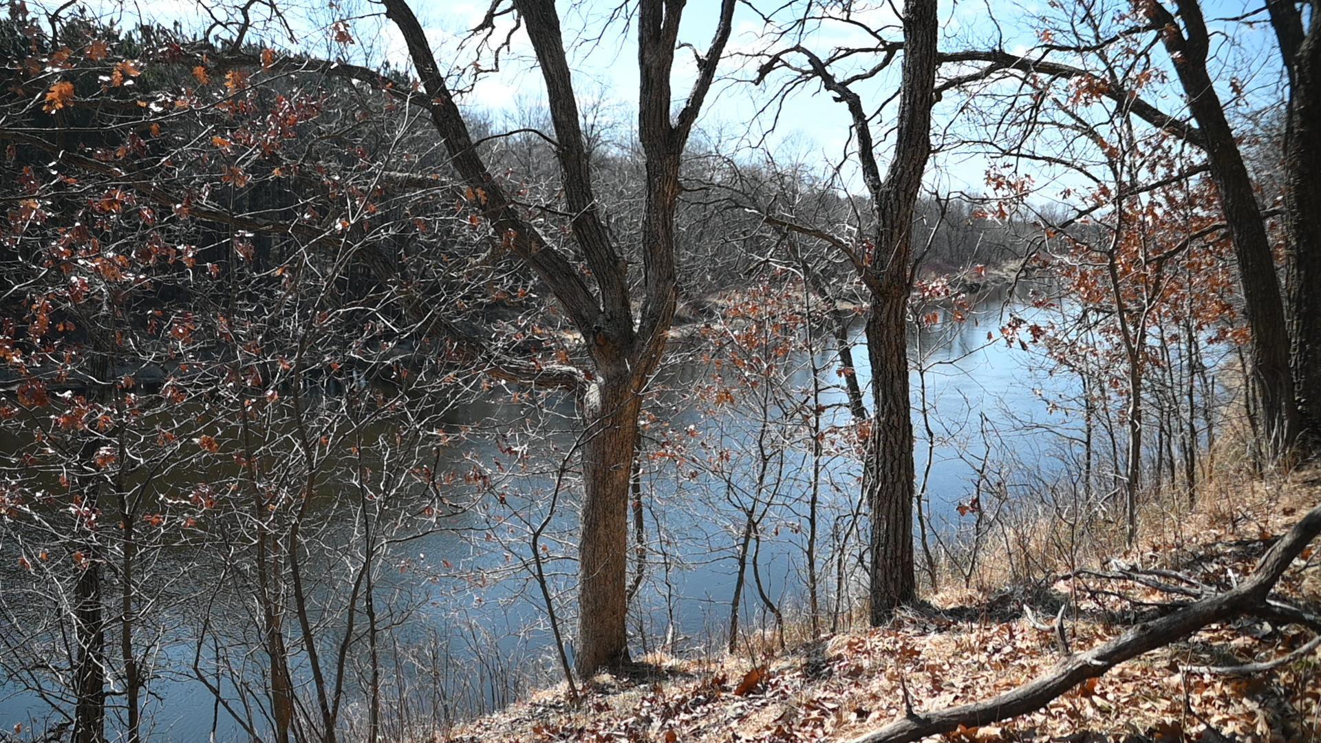 38869 Odin Court Browerville, MN 56438 - Photo 5 of 24