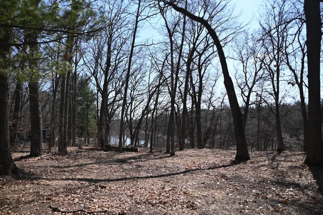 $37,500 | 38869 Odin Court, Browerville, MN 56438