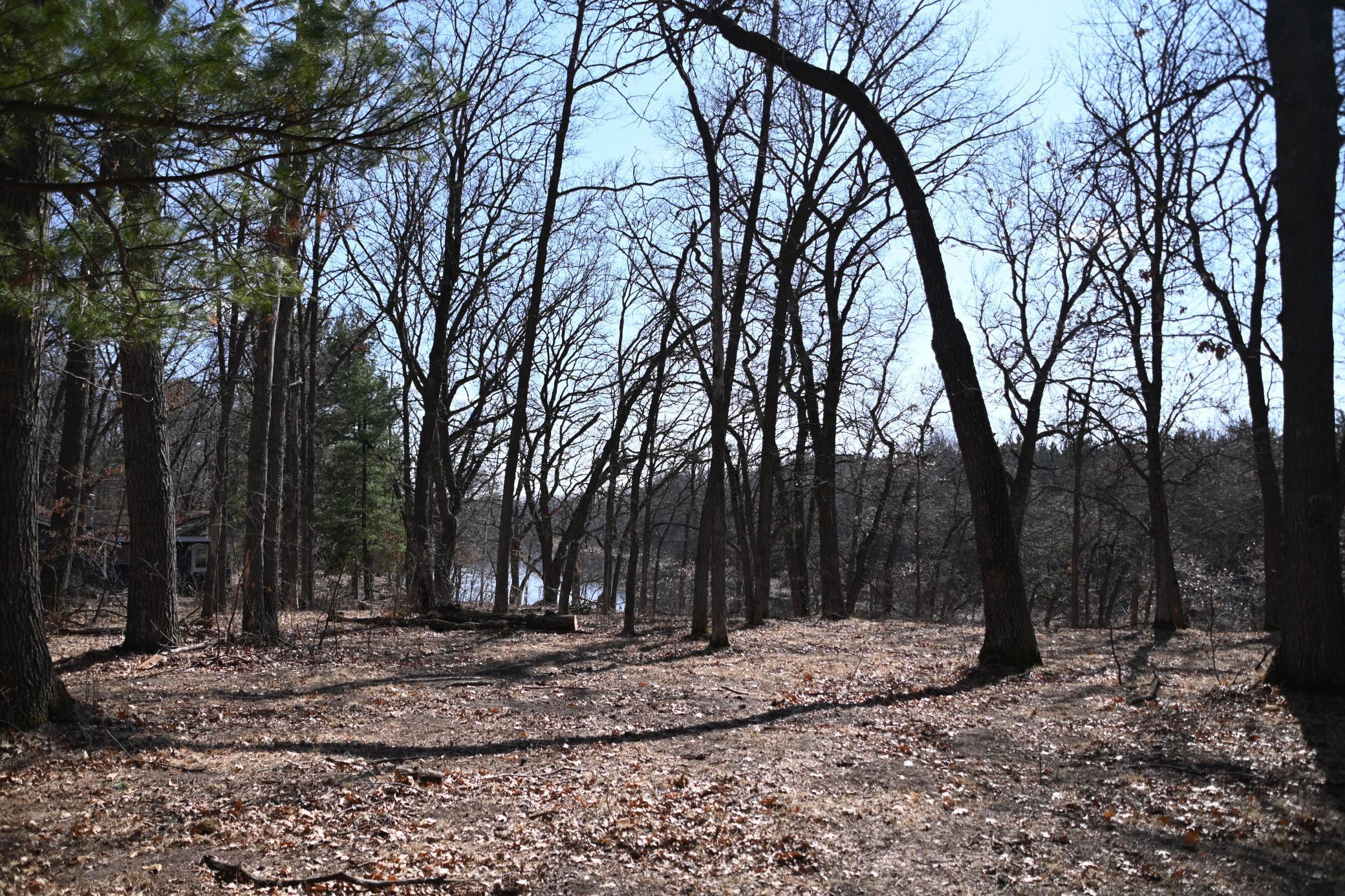 38869 Odin Court Browerville, MN 56438 - Photo 6 of 24