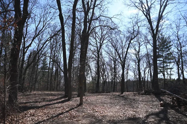 $37,500 | 38869 Odin Court, Browerville, MN 56438