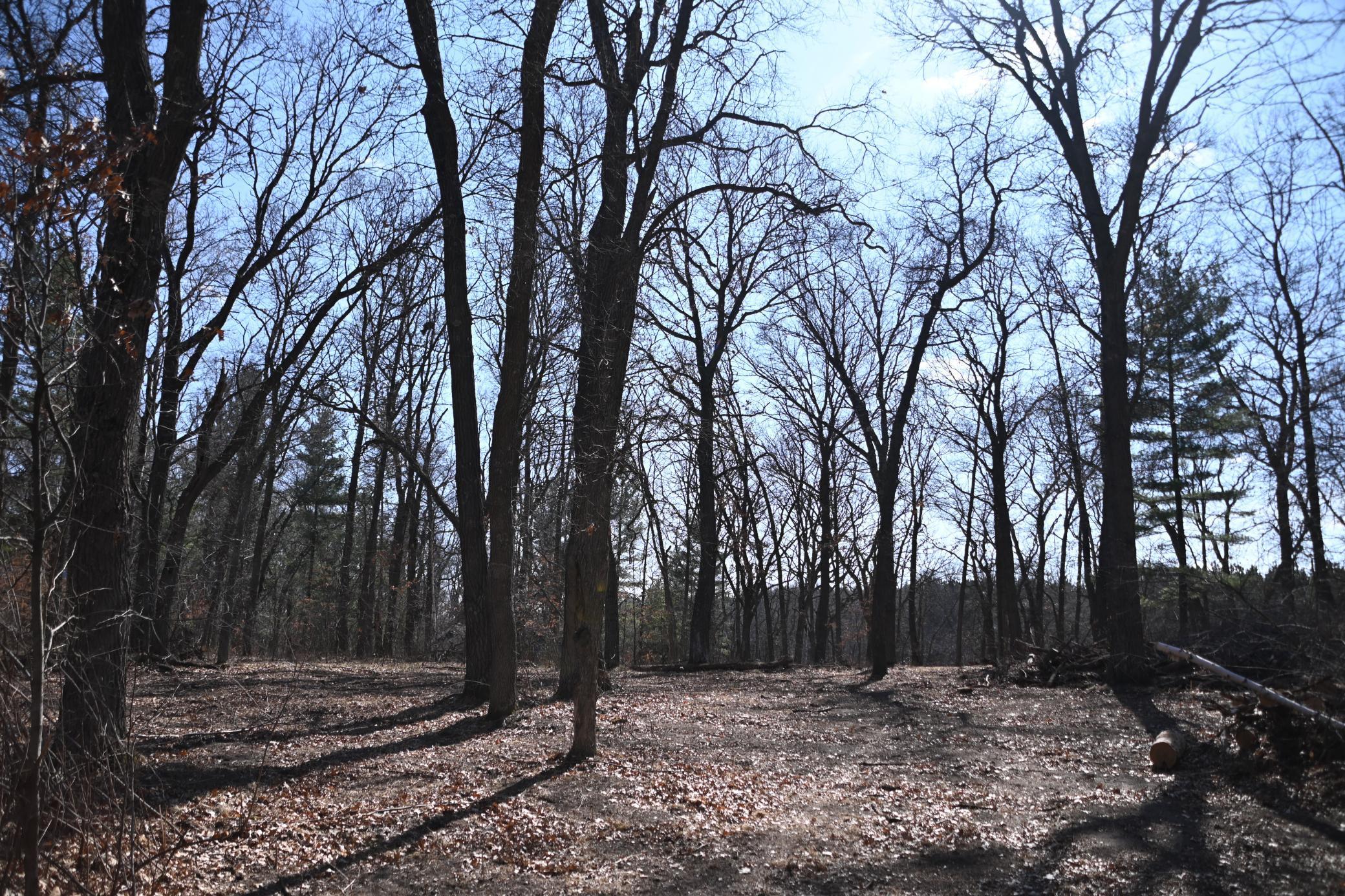 38869 Odin Court Browerville, MN 56438 - Photo 7 of 24