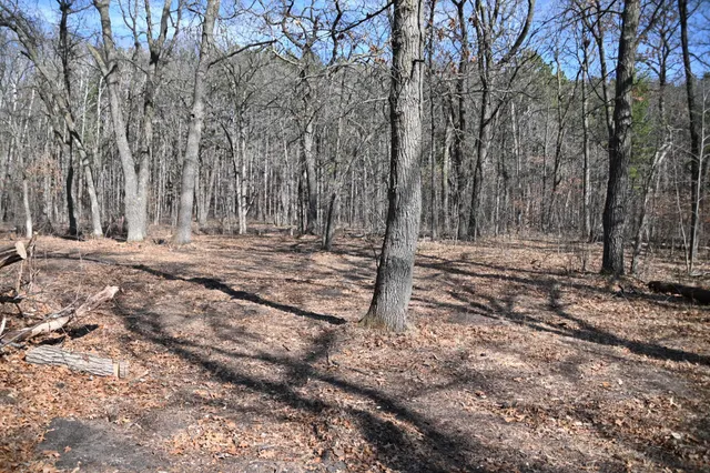 $37,500 | 38869 Odin Court, Browerville, MN 56438