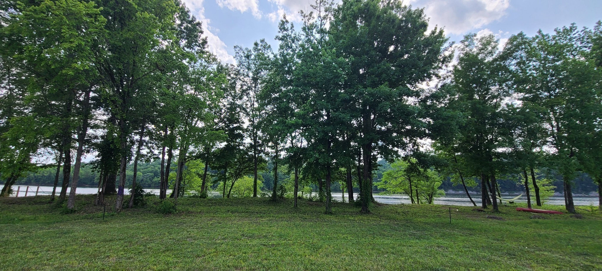 855 Hardin Bottom River Road Clifton, TN 38425 - Photo 9 of 30 a grassy field with trees in the background