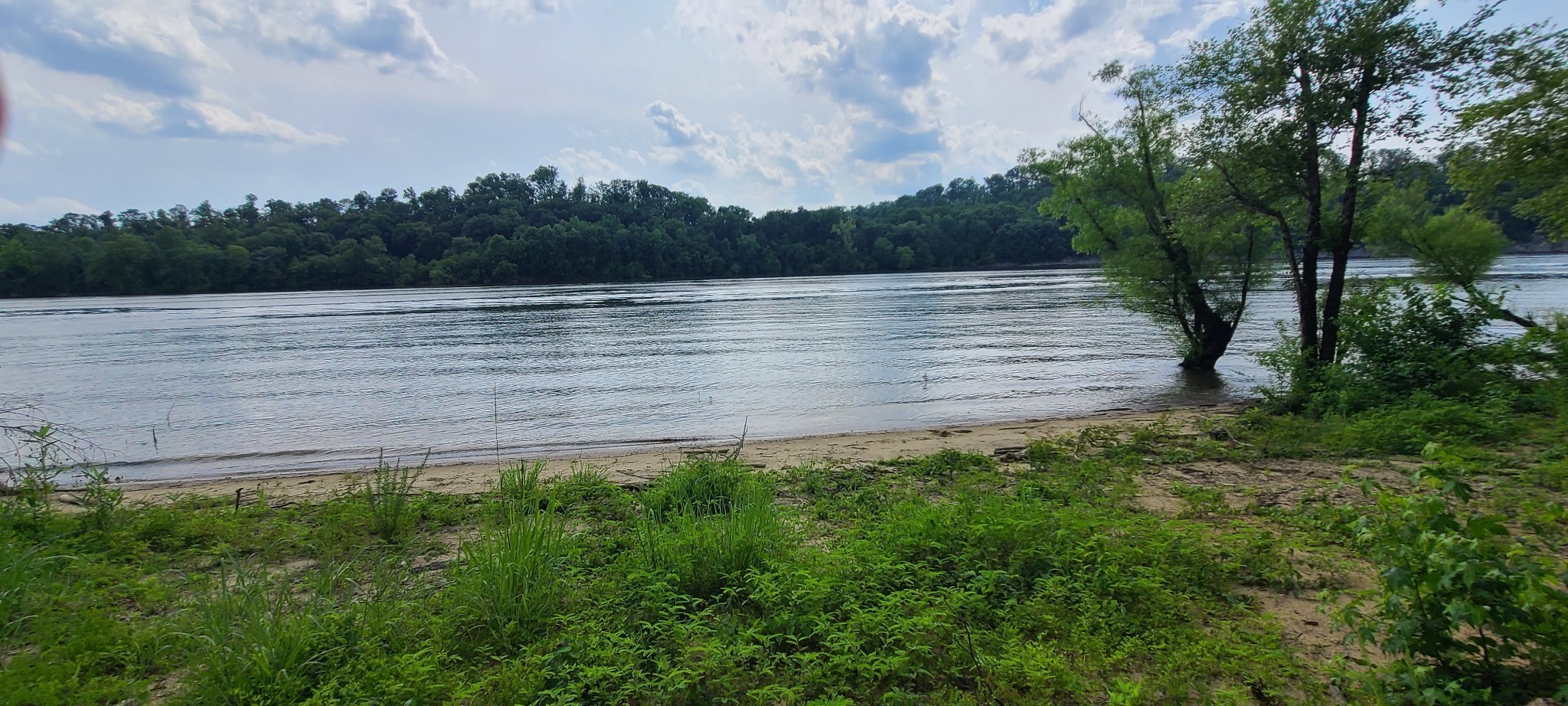855 Hardin Bottom River Road Clifton, TN 38425 - Photo 10 of 30 a view of a lake view