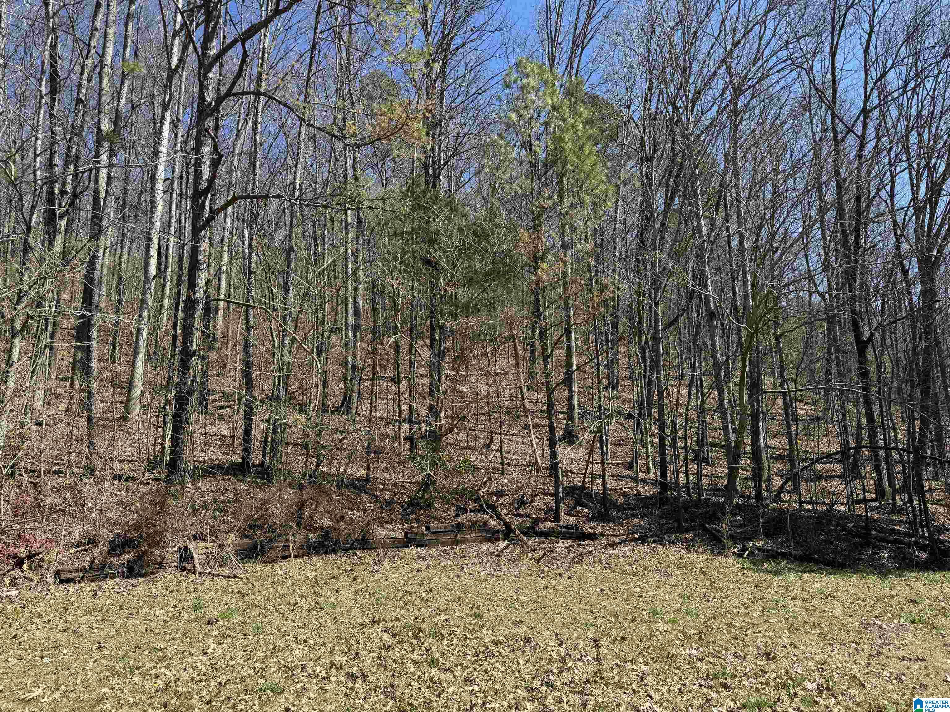 0 Rocky Hollow Road, Unit 3 00 Guntersville, AL 35976 - Photo 19 of 23