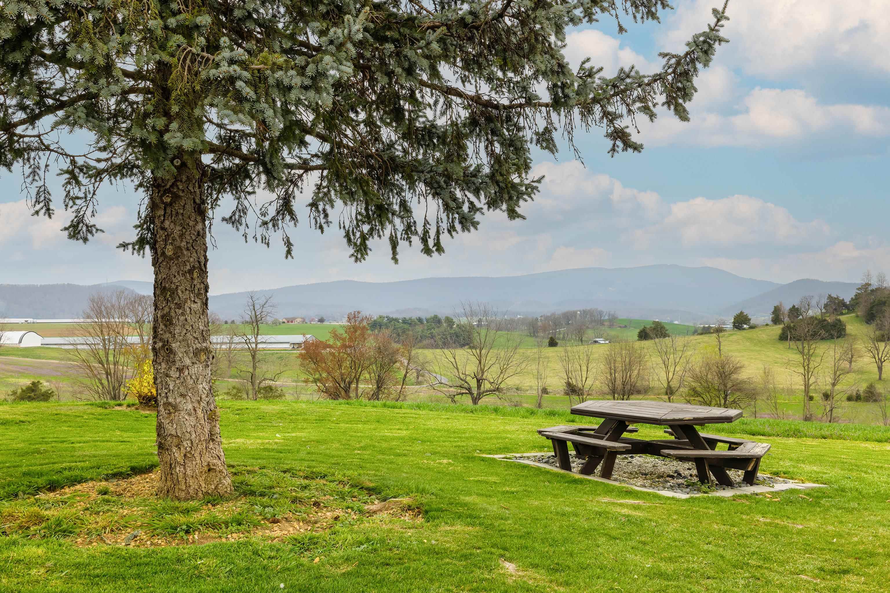 6746 Horeb Church Road Dayton, VA 22821 - Photo 7 of 54 Dining With A View!