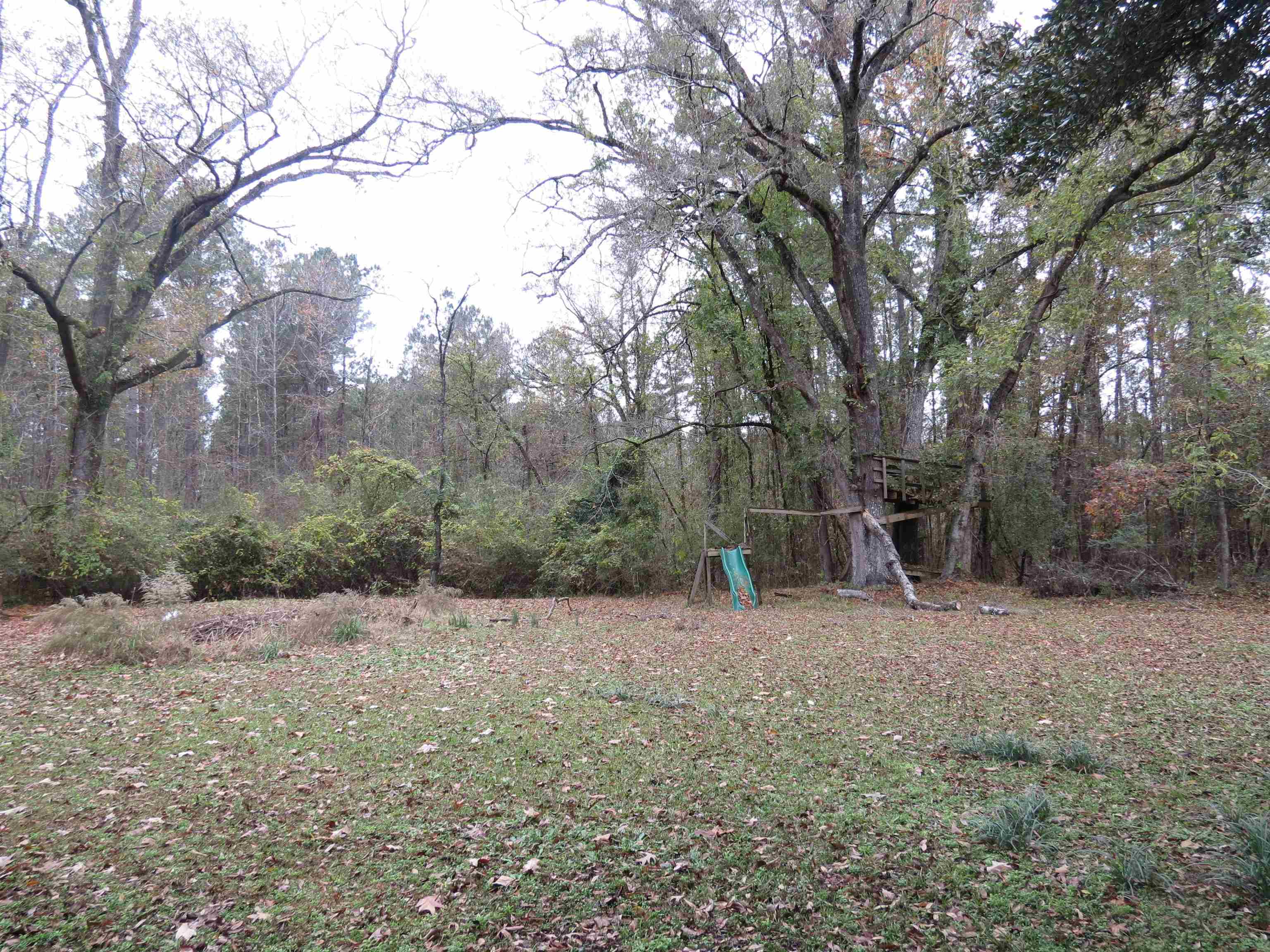 6347 County Rd S-22-6 Georgetown, SC 29440 - Photo 13 of 17