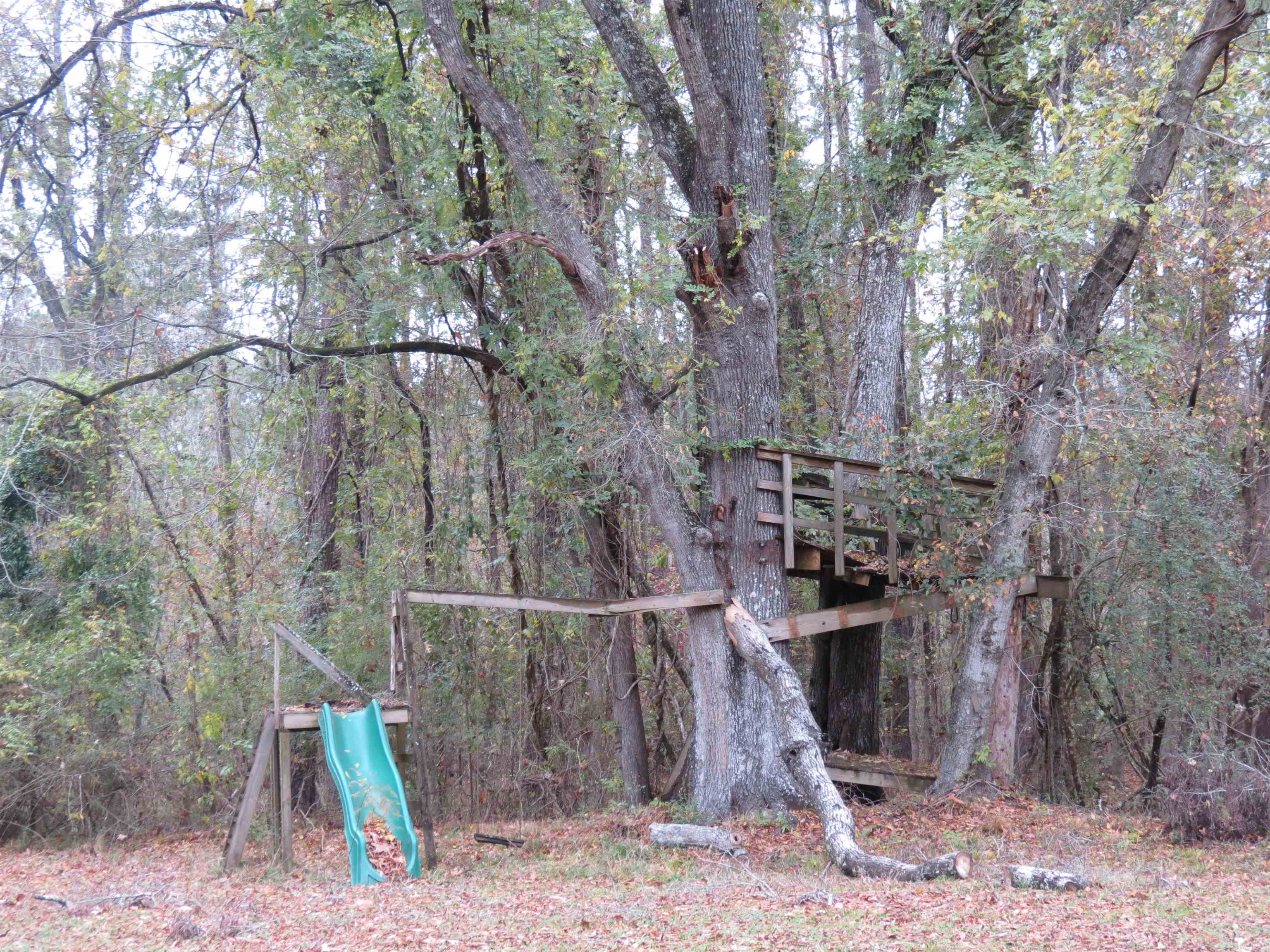 6347 County Rd S-22-6 Georgetown, SC 29440 - Photo 14 of 17