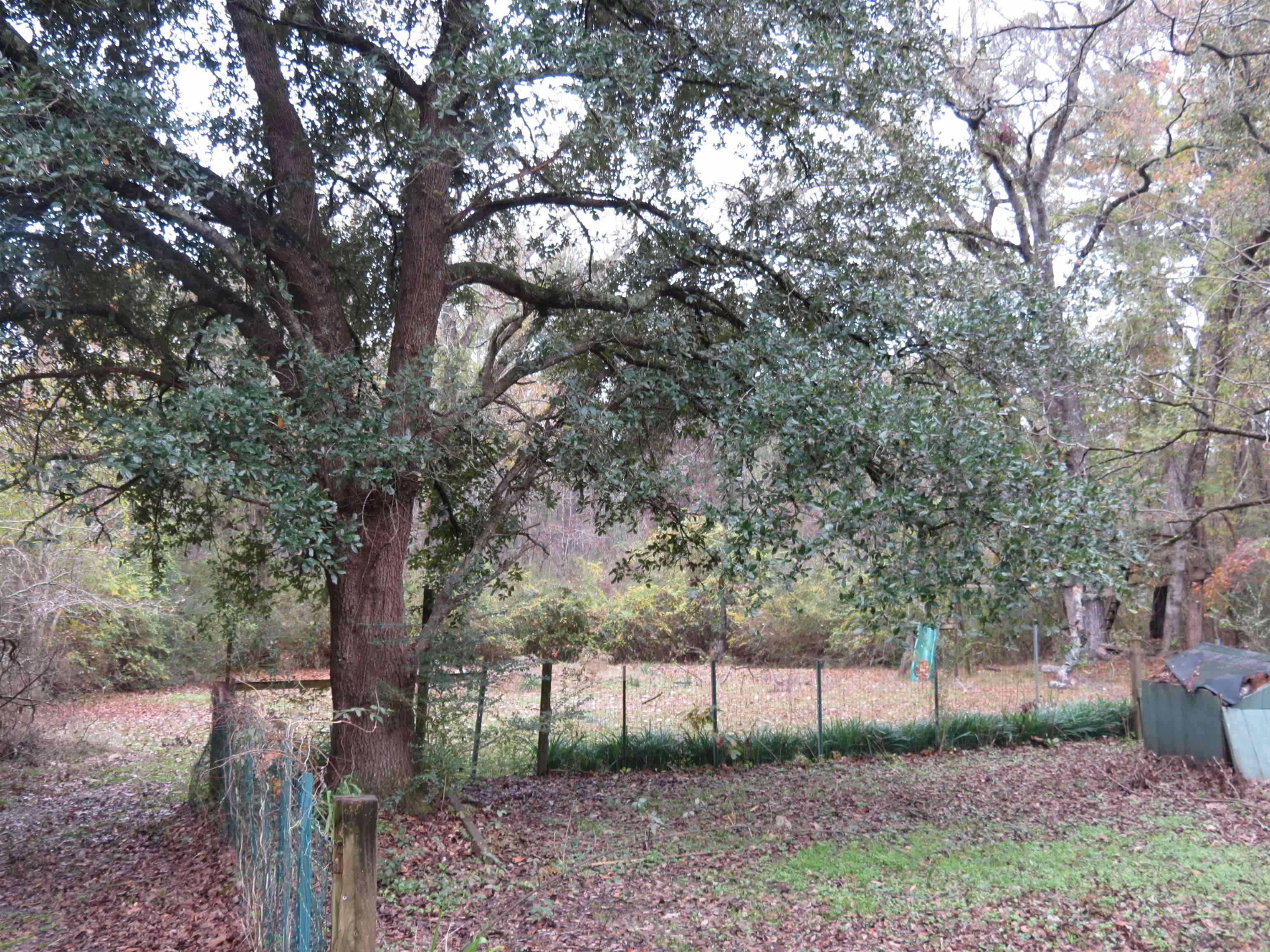 6347 County Rd S-22-6 Georgetown, SC 29440 - Photo 16 of 17