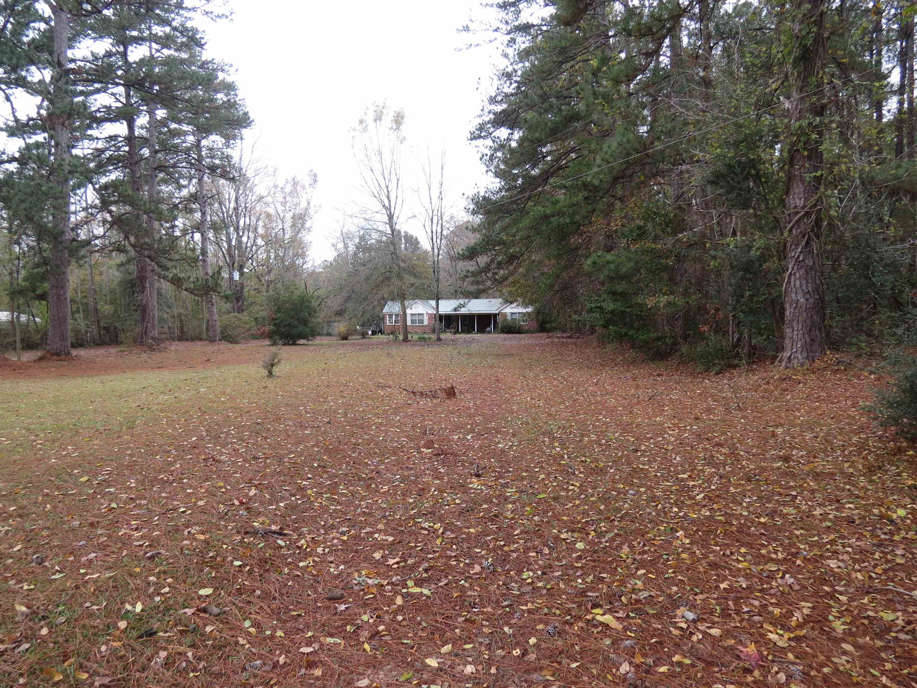 6347 County Rd S-22-6 Georgetown, SC 29440 - Photo 3 of 17