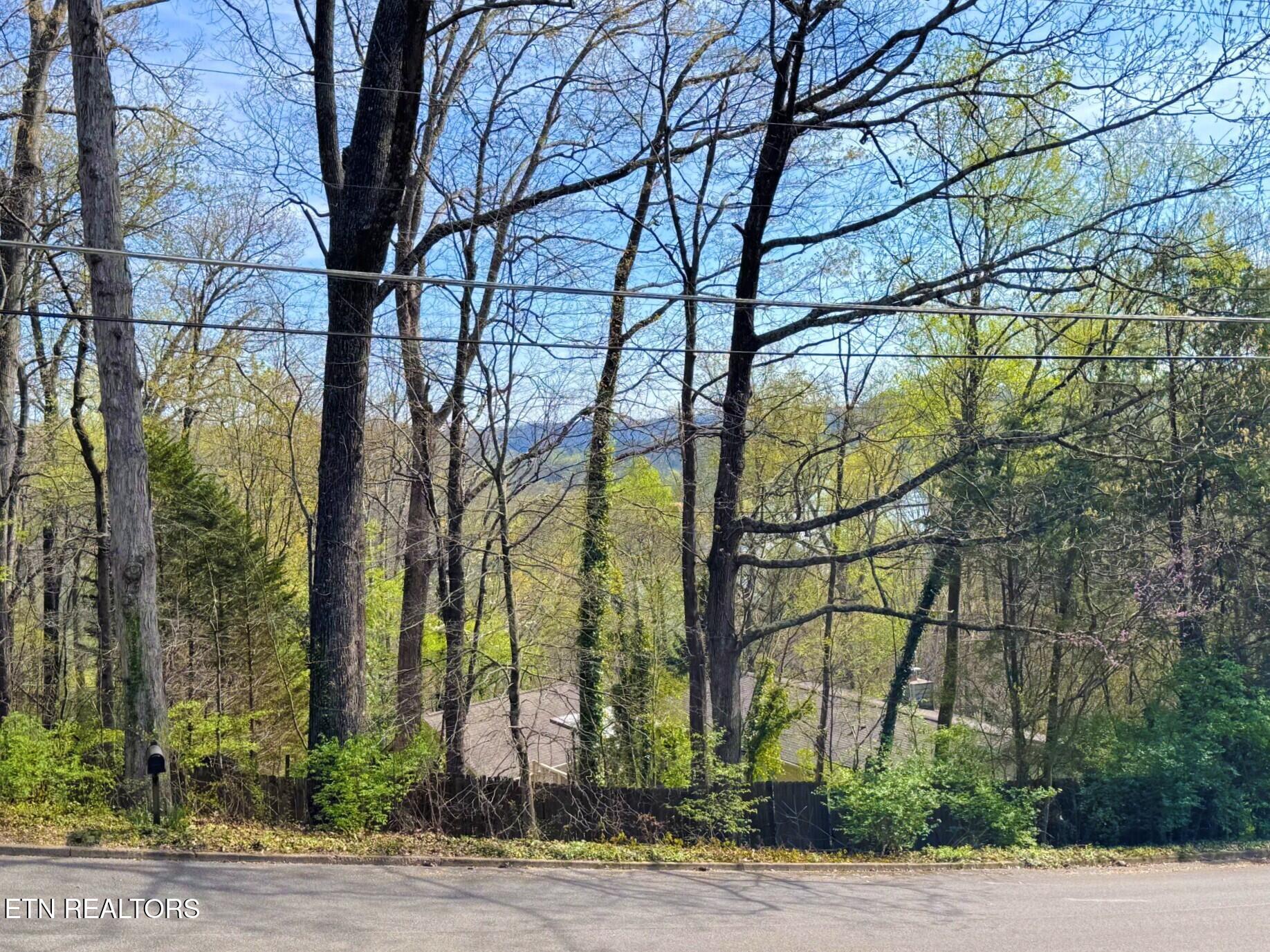 305 Orchard Knob Road Clinton, TN 37716 - Photo 8 of 31 cb7b478f-5d35-4d2f-8151-c97187ffd4c1_inP