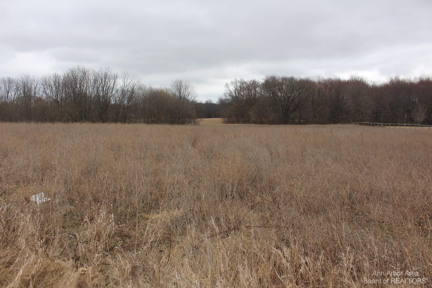 0 South Maute Road Grass Lake, MI 49240 - Photo 1 of 5 Photo 1
