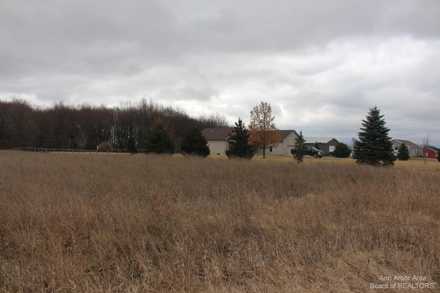 0 South Maute Road Grass Lake, MI 49240 - Photo 3 of 5 Photo 3