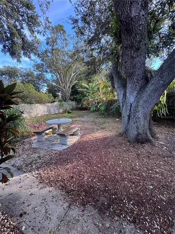 a view of a yard with plants and a large tree