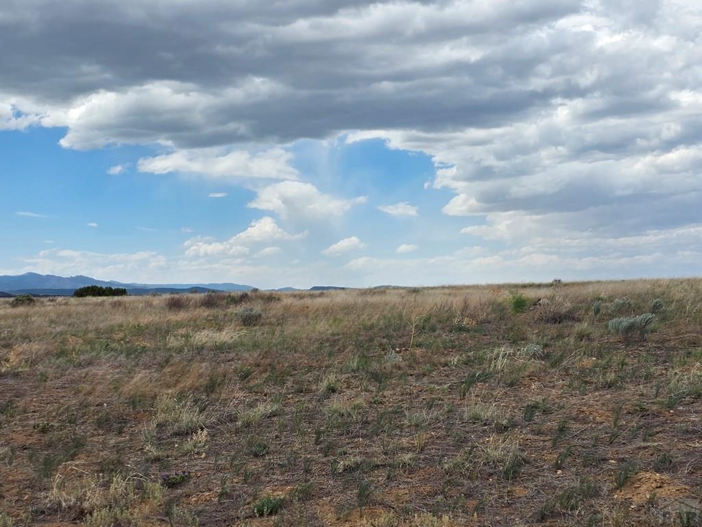 Lot 129 Rosemoore Drive Rye, CO 81069 - Photo 8 of 13