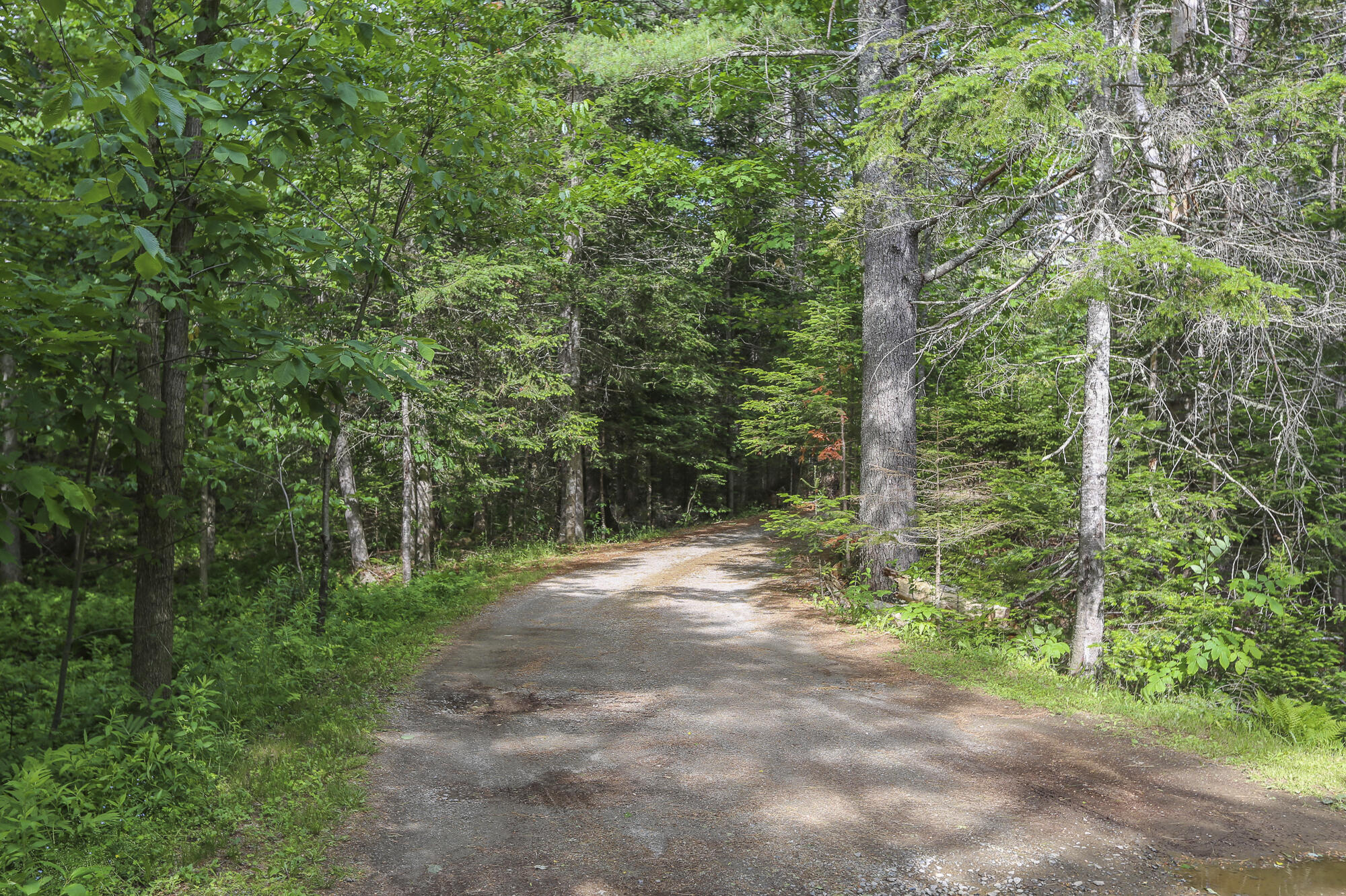 502 Curtis Road Swanville, ME 04915 - Photo 37 of 70 SearsportMaine-58