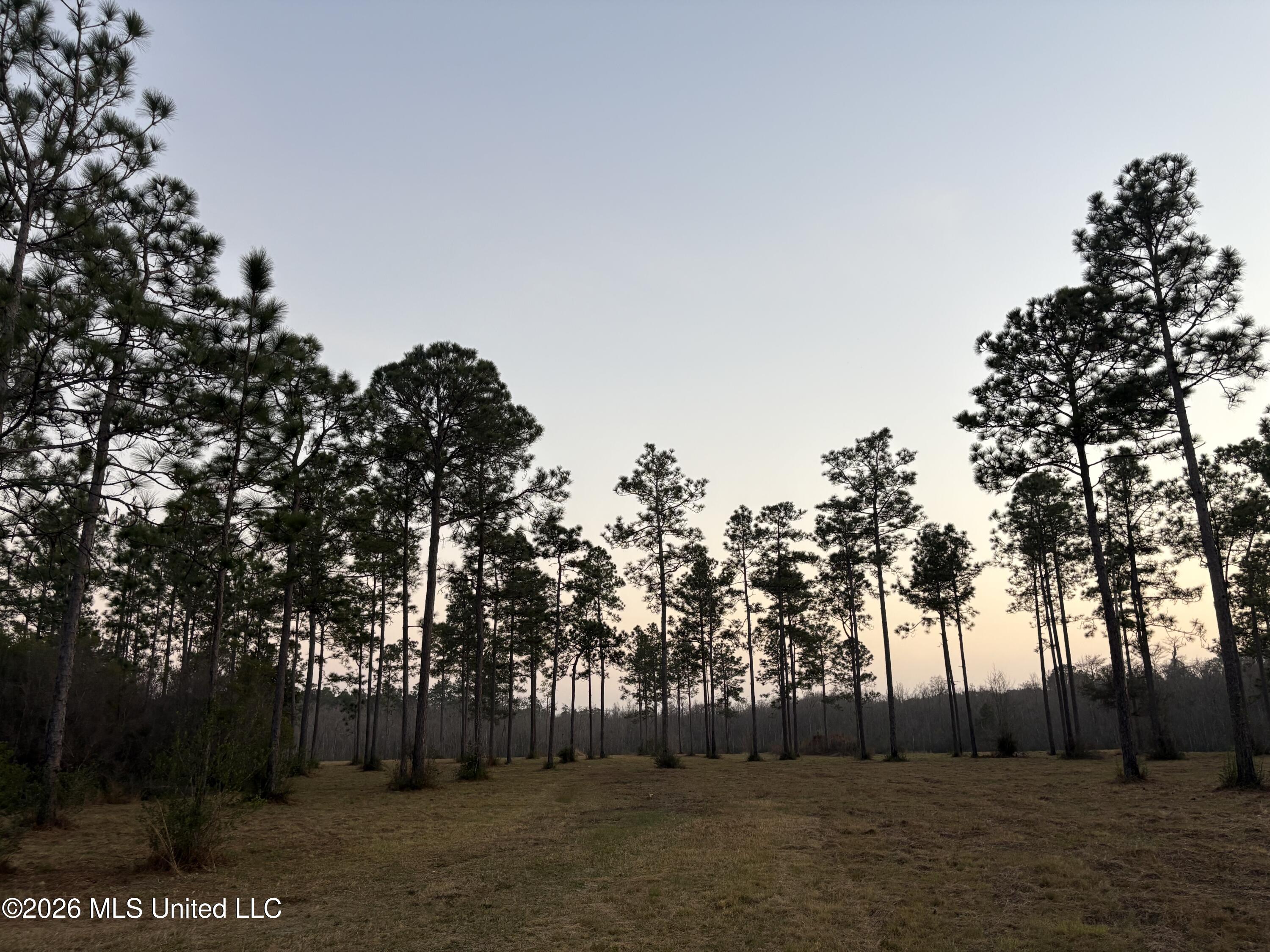 Greenfields Road Moss Point, MS 39562 - Photo 6 of 10 5