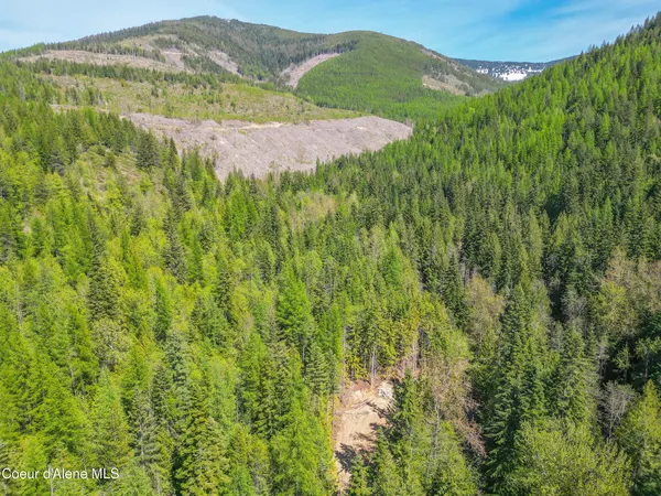 $264,900 | Nka Cross Mountain Road, Sandpoint, ID 83864