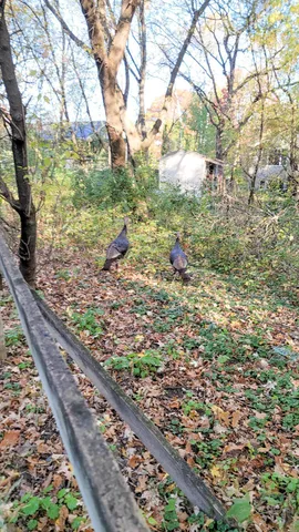 $2,617,830 | 935 Lakewood Hills Road North, Eagan, MN 55123