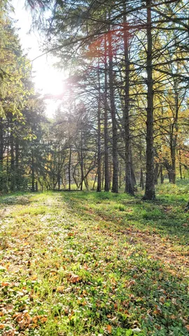 $2,617,830 | 935 Lakewood Hills Road North, Eagan, MN 55123