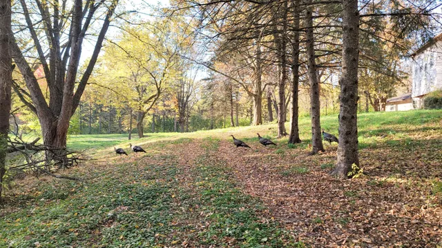 $2,617,830 | 935 Lakewood Hills Road North, Eagan, MN 55123