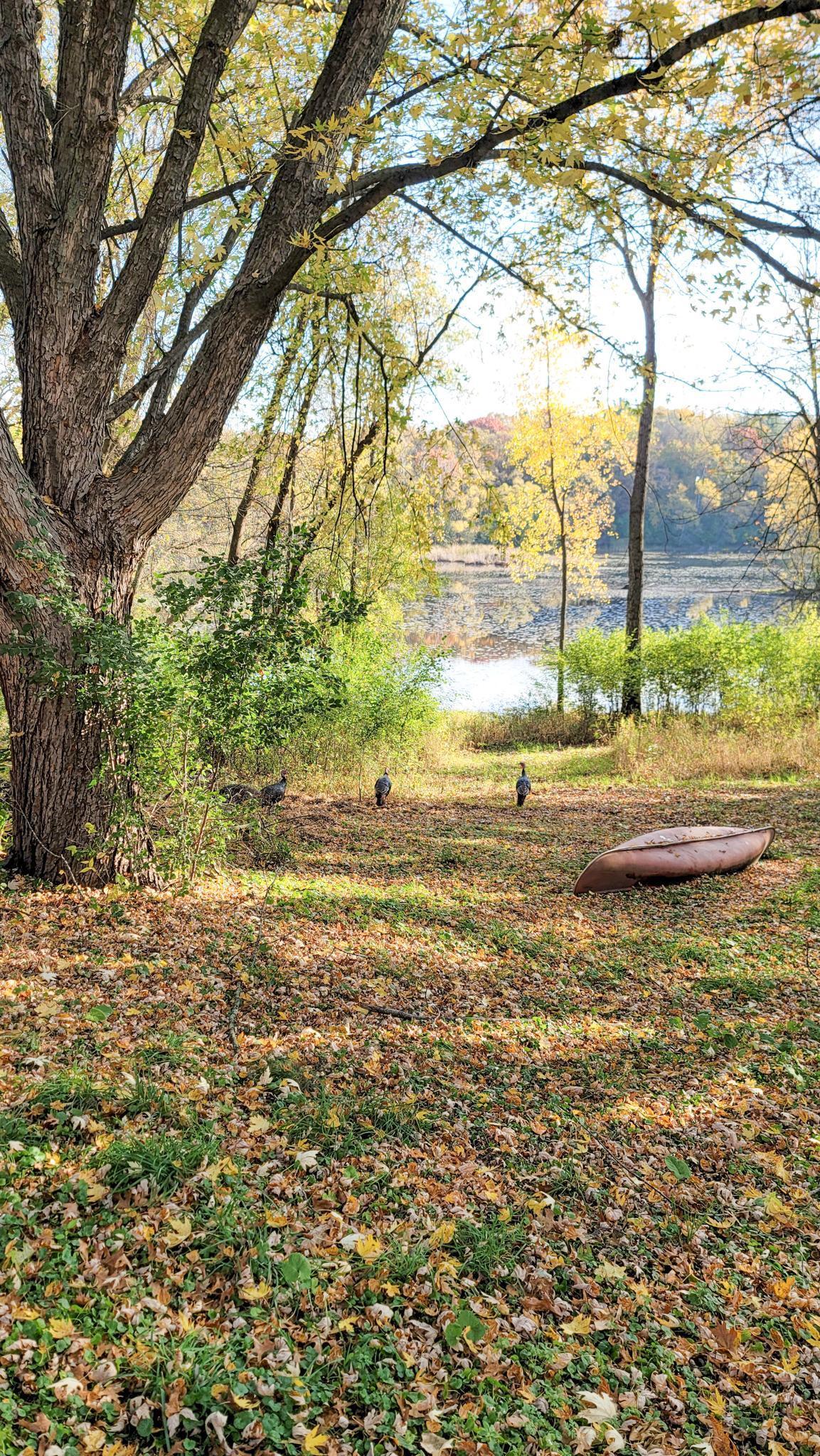 935 Lakewood Hills Road North Eagan, MN 55123 - Photo 111 of 112