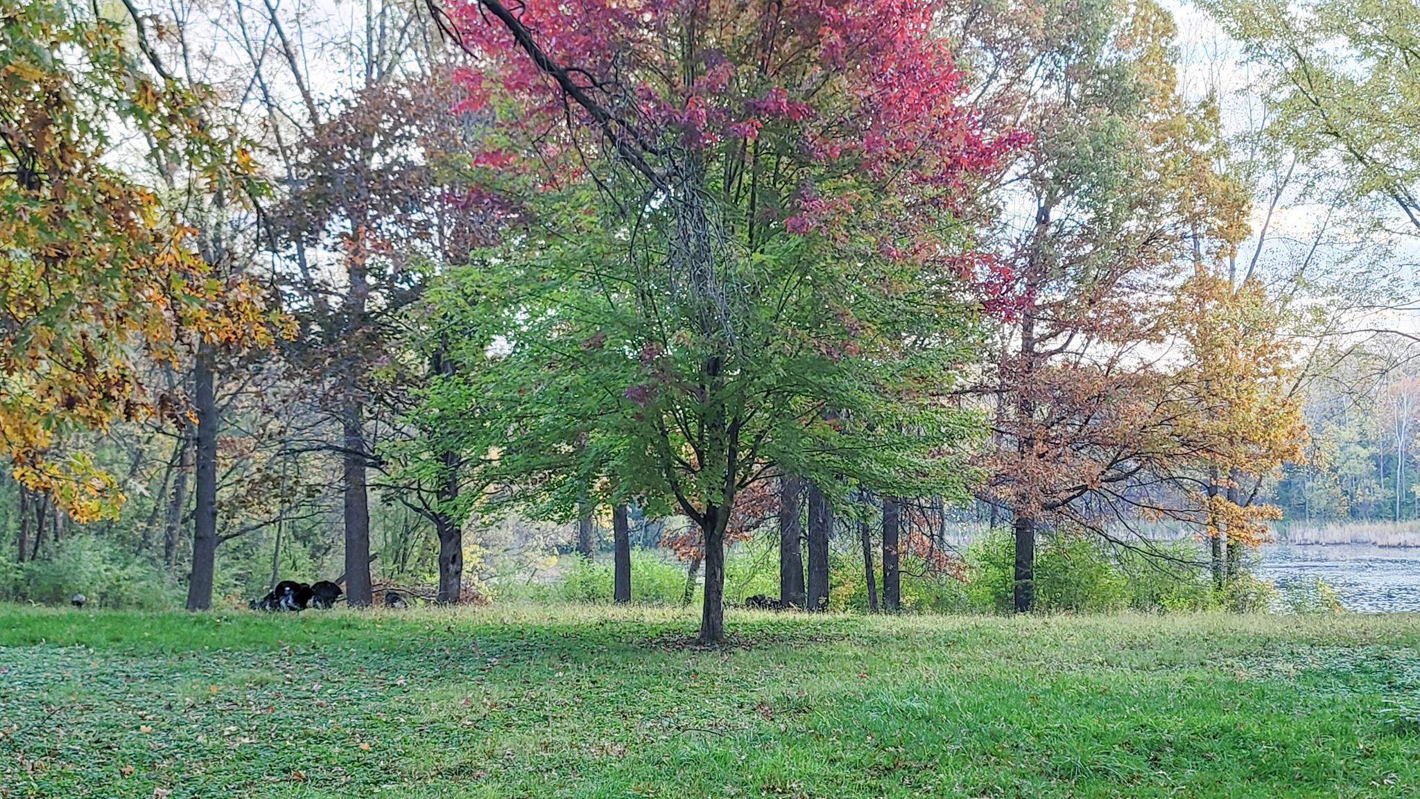 935 Lakewood Hills Road North Eagan, MN 55123 - Photo 66 of 112