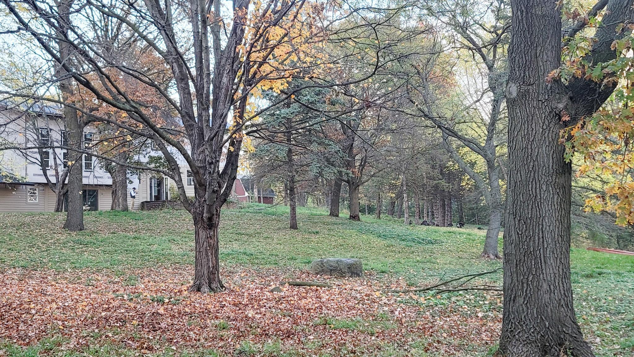 935 Lakewood Hills Road North Eagan, MN 55123 - Photo 67 of 112