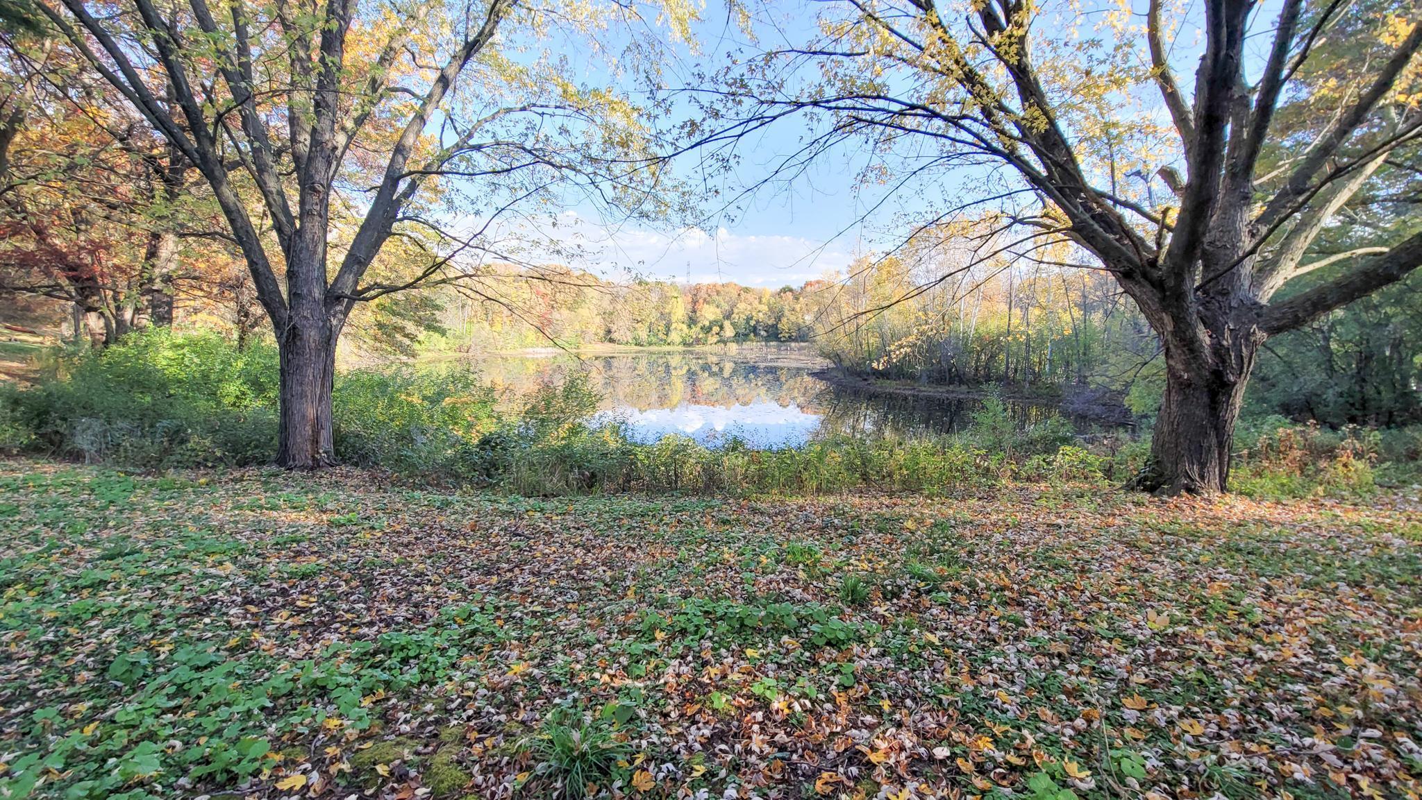 935 Lakewood Hills Road North Eagan, MN 55123 - Photo 70 of 112