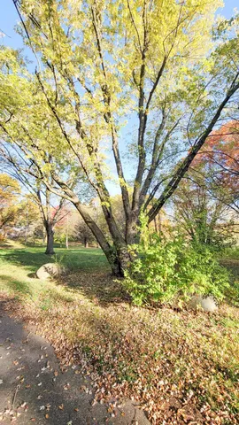 $2,617,830 | 935 Lakewood Hills Road North, Eagan, MN 55123