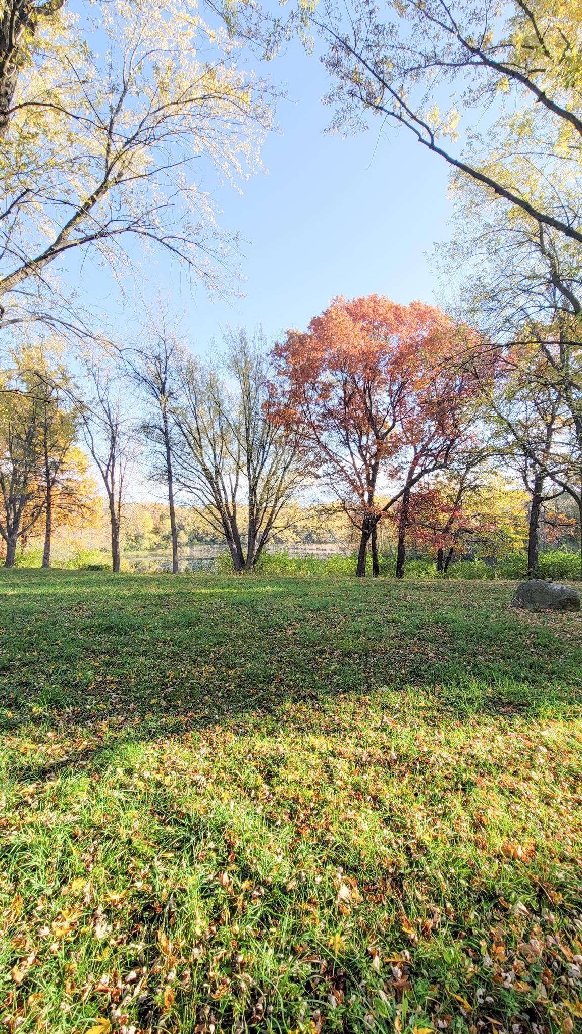 935 Lakewood Hills Road North Eagan, MN 55123 - Photo 76 of 112