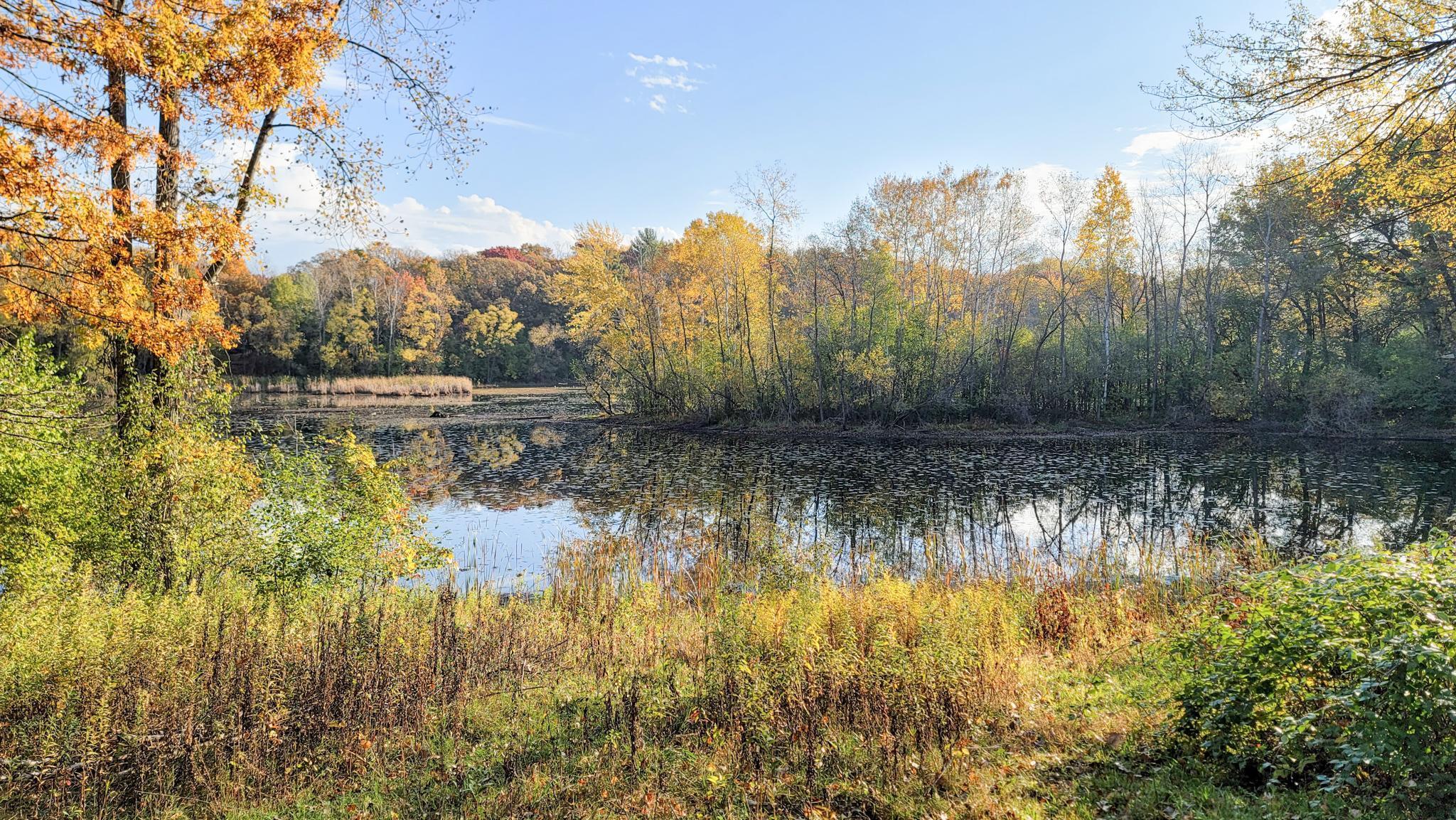 935 Lakewood Hills Road North Eagan, MN 55123 - Photo 81 of 112