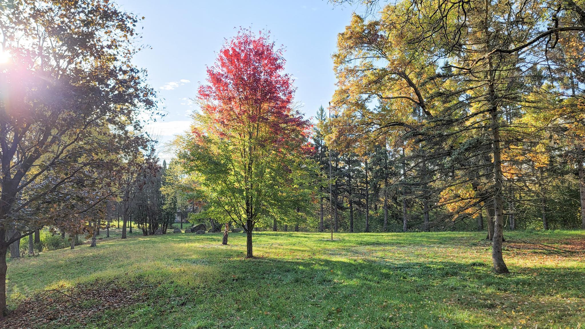 935 Lakewood Hills Road North Eagan, MN 55123 - Photo 86 of 112