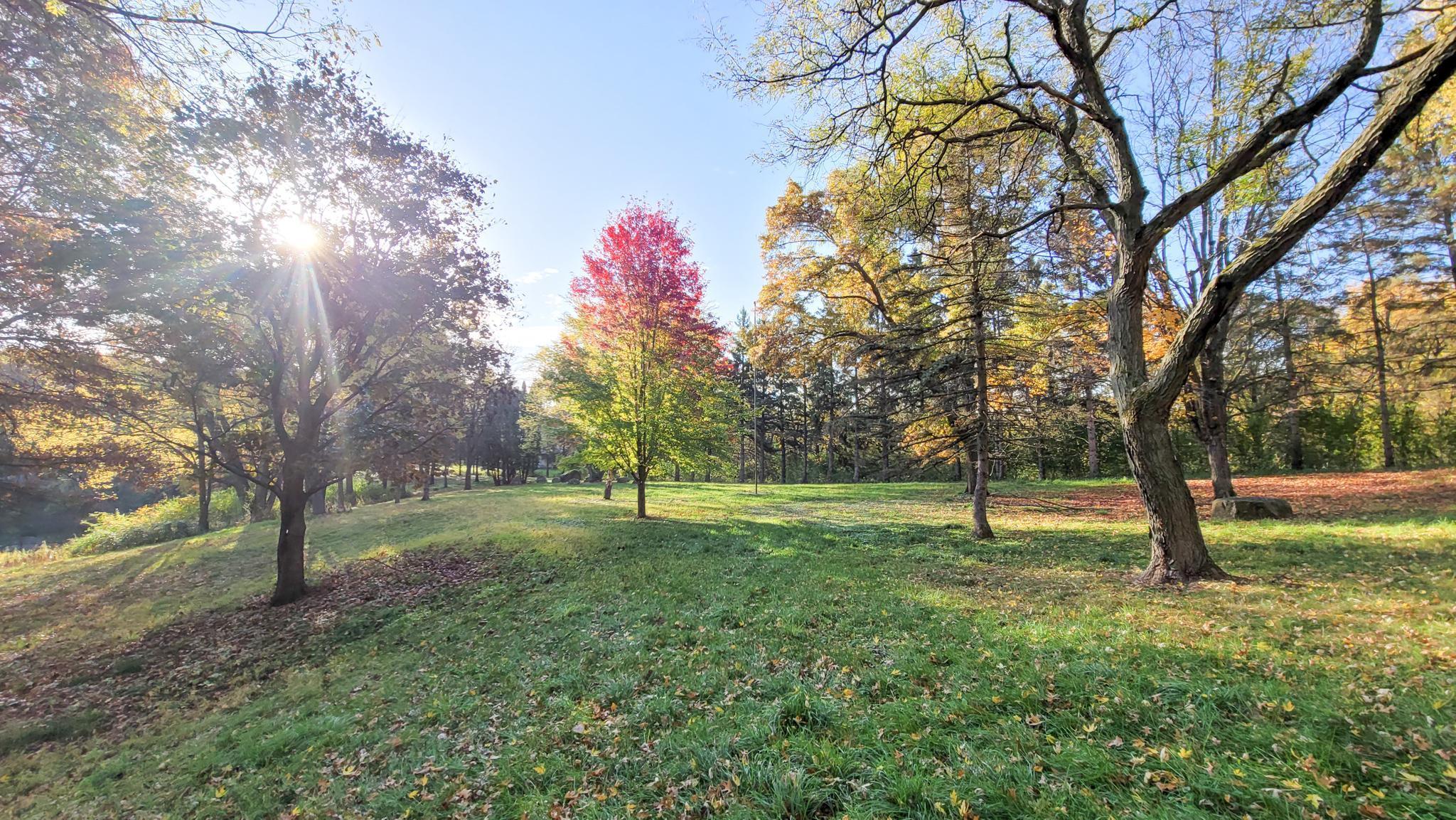 935 Lakewood Hills Road North Eagan, MN 55123 - Photo 87 of 112