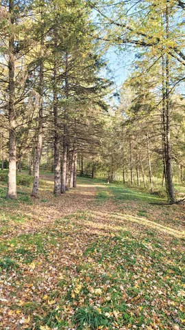 $2,617,830 | 935 Lakewood Hills Road North, Eagan, MN 55123