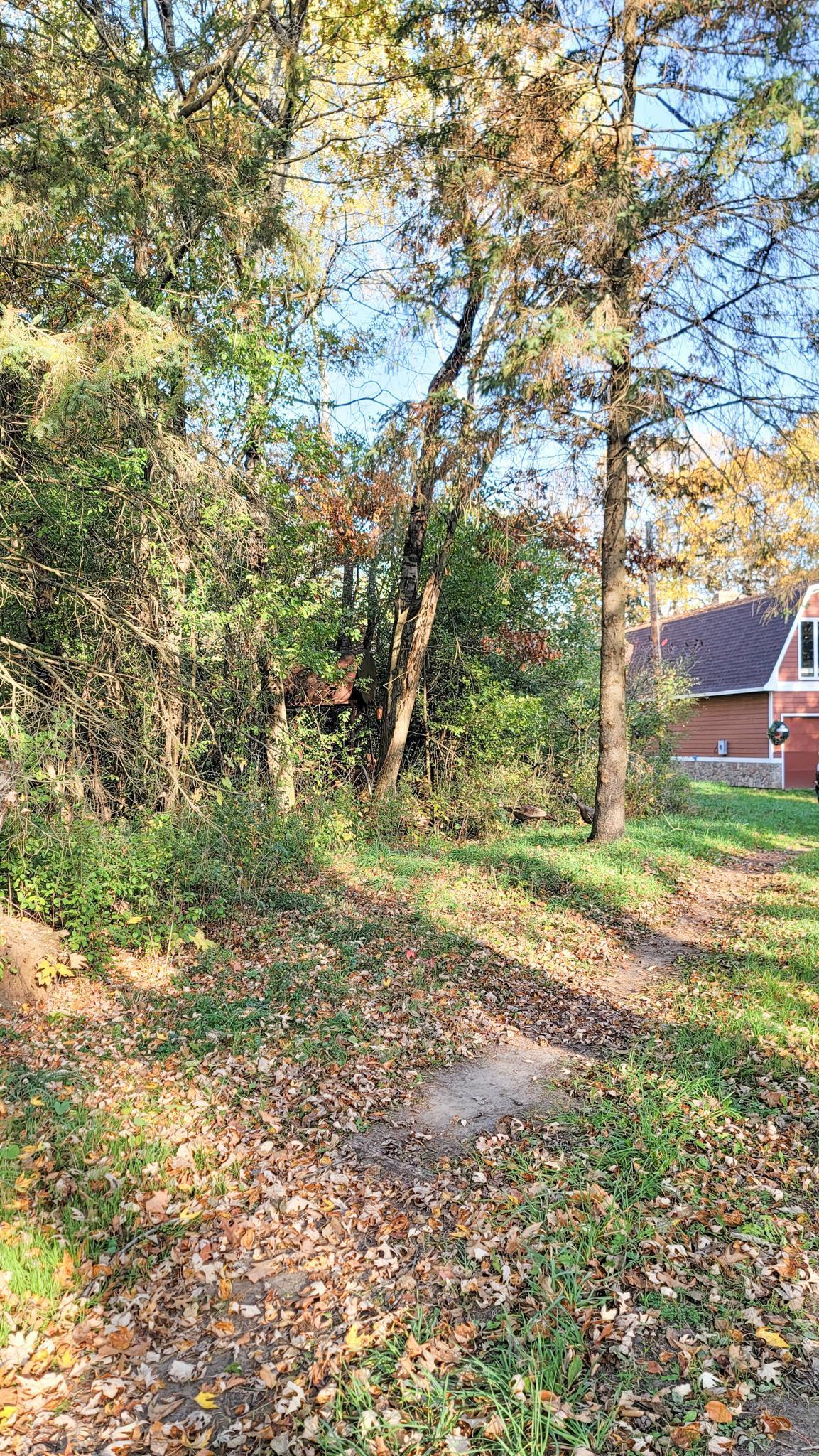 935 Lakewood Hills Road North Eagan, MN 55123 - Photo 95 of 112