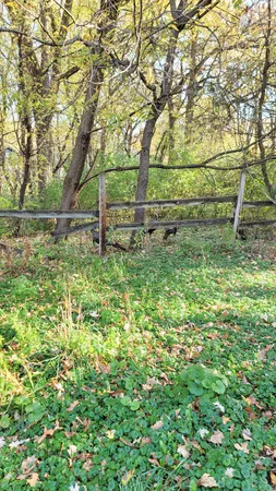 $2,617,830 | 935 Lakewood Hills Road North, Eagan, MN 55123