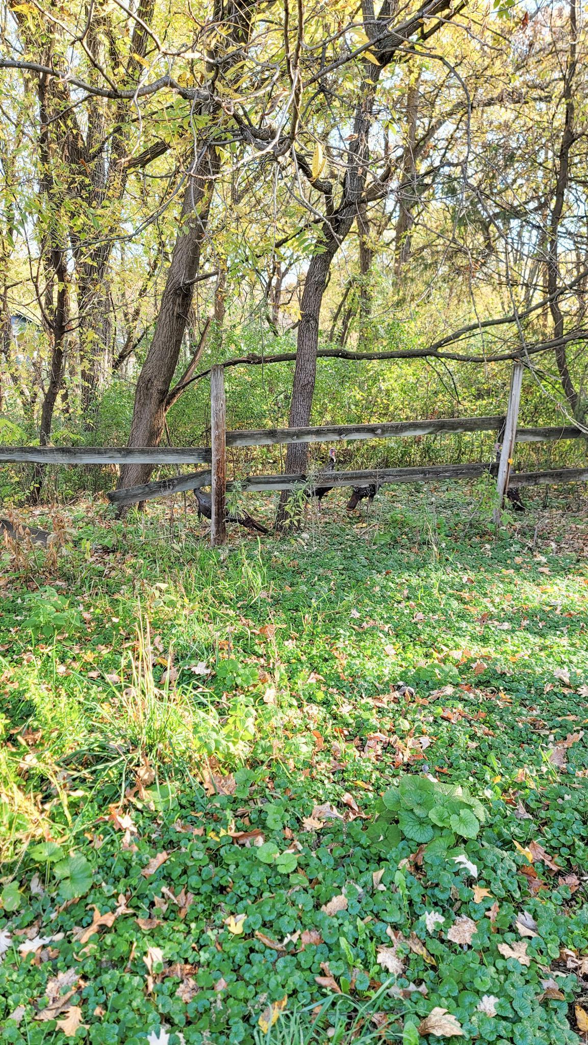 935 Lakewood Hills Road North Eagan, MN 55123 - Photo 100 of 112