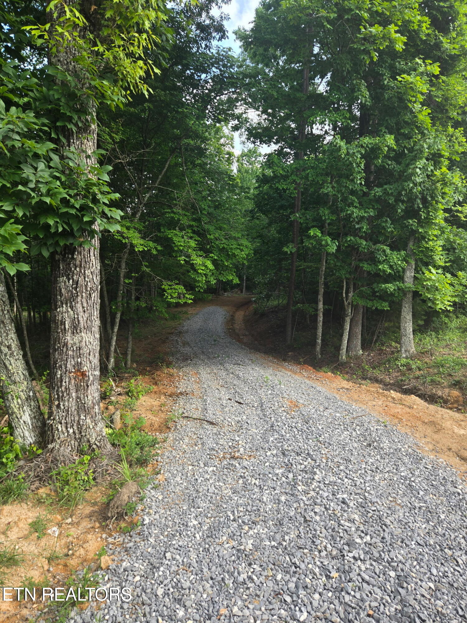 1460 Big Neck Road Grandview, TN 37337 - Photo 26 of 32 Driveway