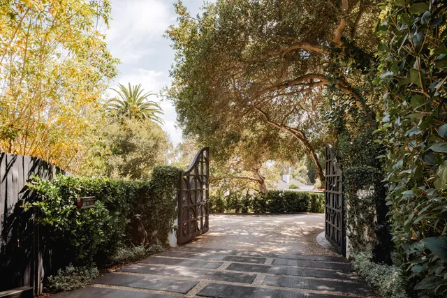 a view of a road with trees in front of it