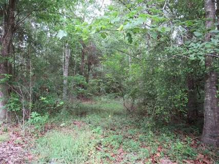 $289,900 | Route 66 Dequincy La, Dequincy, LA 70633
