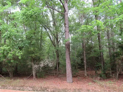 $289,900 | Route 66 Dequincy La, Dequincy, LA 70633
