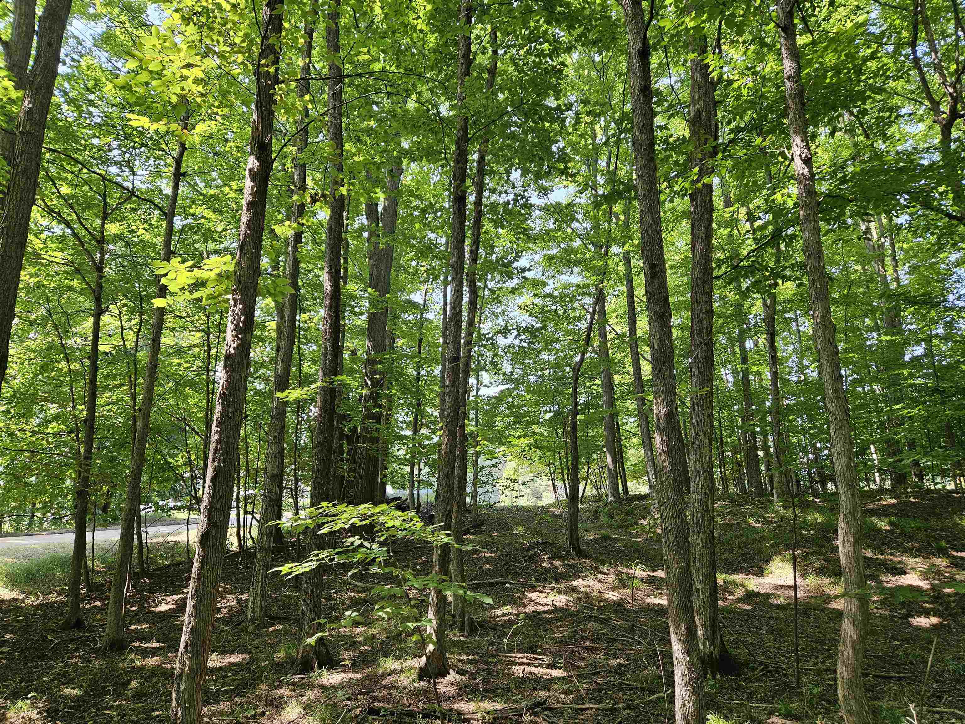 Tbd Tbd Willsey Road Traverse City, MI 49696 - Photo 5 of 22
