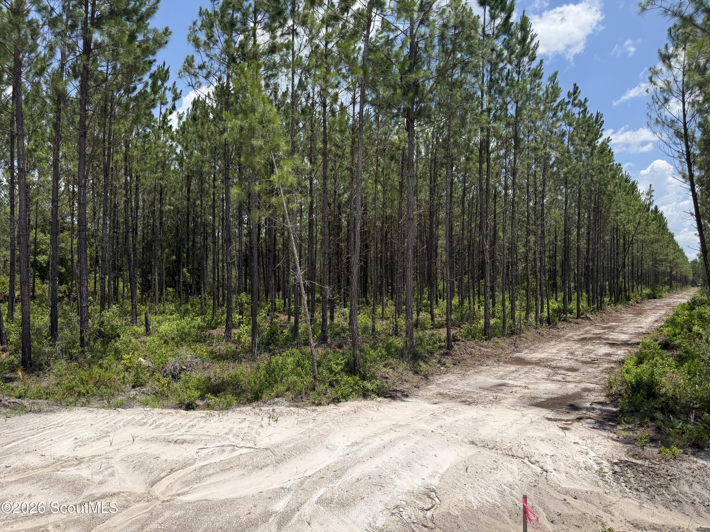 Lot 5 Corbitt Road, Unit LOT 5 Manor, GA 31550 - Photo 2 of 11 IMG_8003