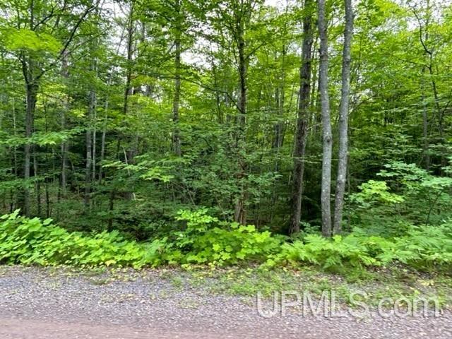 Tbd Lehtola Road Chassell, MI 49916 - Photo 23 of 59 Gallery Image 23