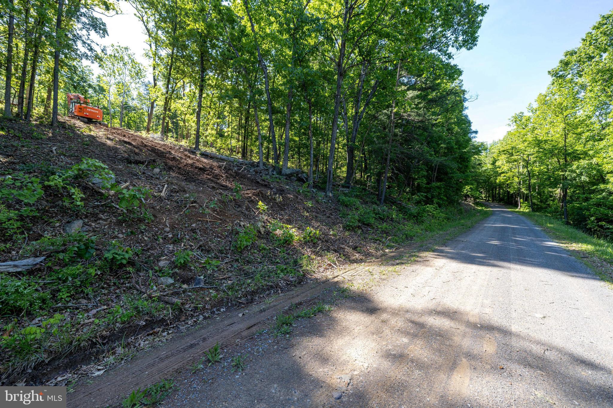 0 Cross Mountain Road Luray, VA 22835 - Photo 43 of 51