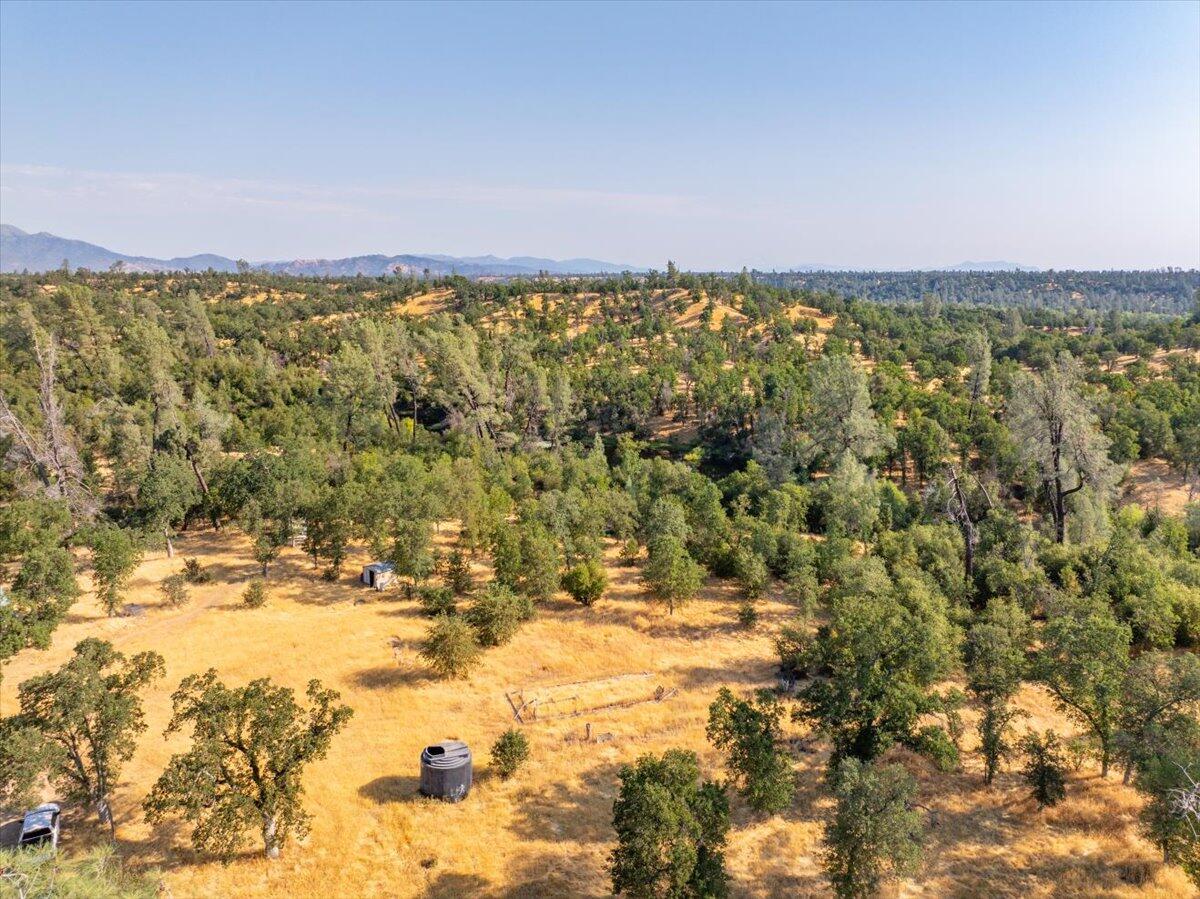 0 Two 2 Feathers Road Cottonwood, CA 96022 - Photo 12 of 41 a view of yard with outdoor space