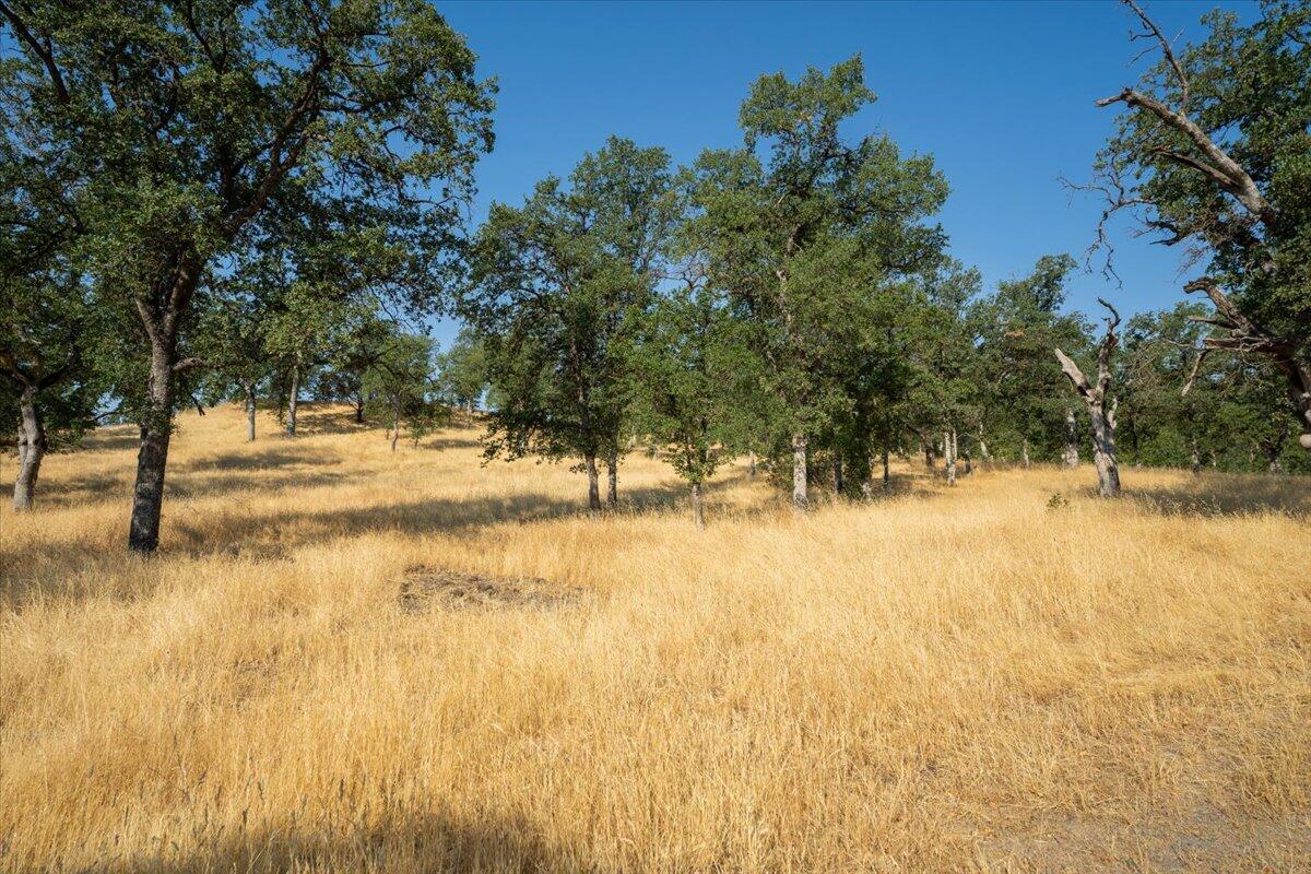 0 Two 2 Feathers Road Cottonwood, CA 96022 - Photo 14 of 41 a view of back yard of a house